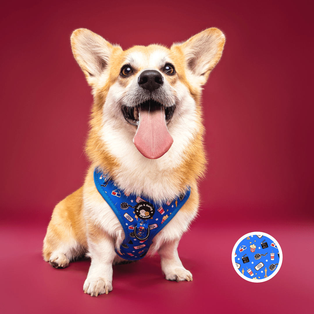 Howl-lywood - No Pull Adjustable Dog Harness