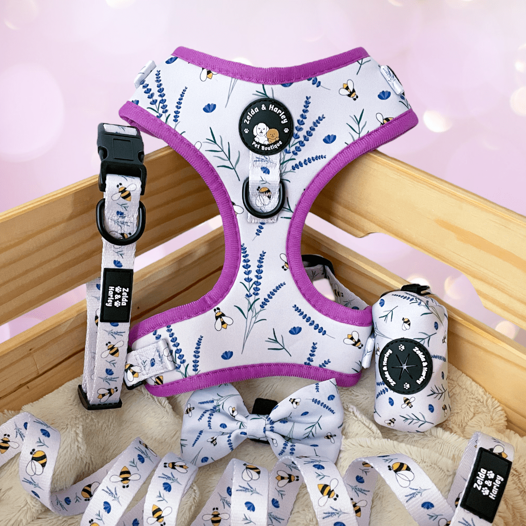 Sweet as Can Bee - No Pull Adjustable Dog Harness