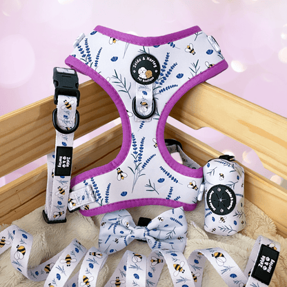 Sweet as Can Bee - No Pull Adjustable Dog Harness