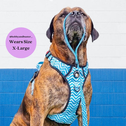 Zig Zag Wag Pastel Blue- Adventure No Pull Harness