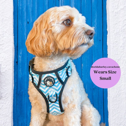 Zig Zag Wag Pastel Blue- Adventure No Pull Harness