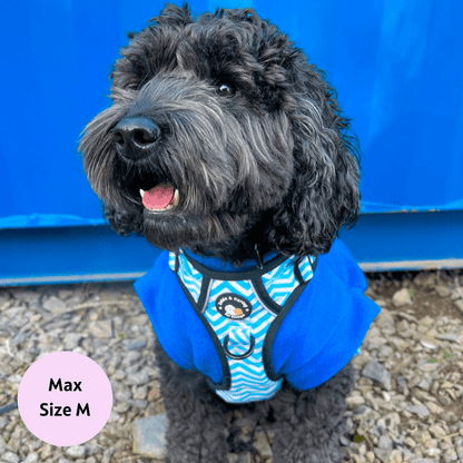 Zig Zag Wag Pastel Blue- Adventure No Pull Harness