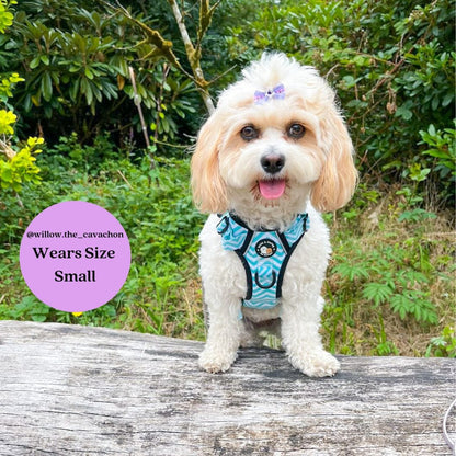 Zig Zag Wag Pastel Green - Adventure No Pull Harness