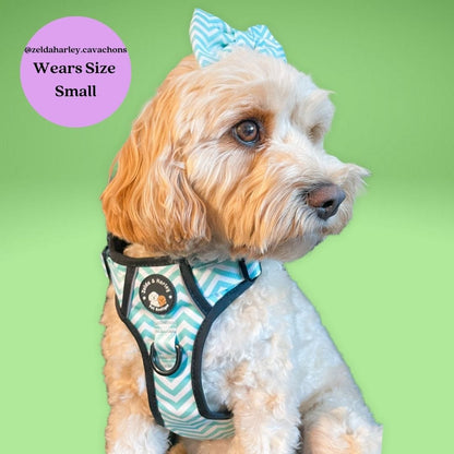 Zig Zag Wag Pastel Green - Adventure No Pull Harness