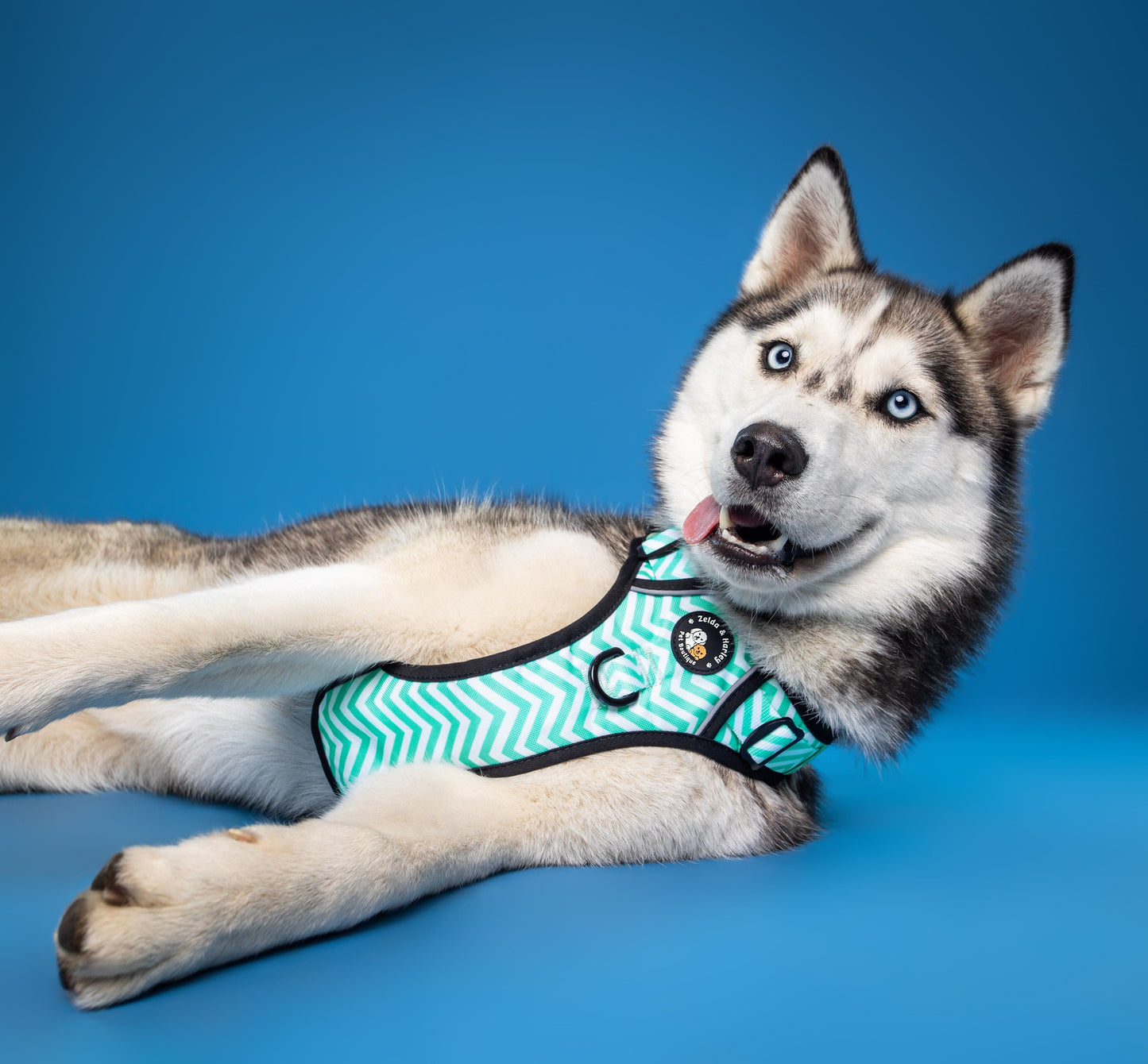 Zig Zag Wag Pastel Green - Adventure No Pull Harness