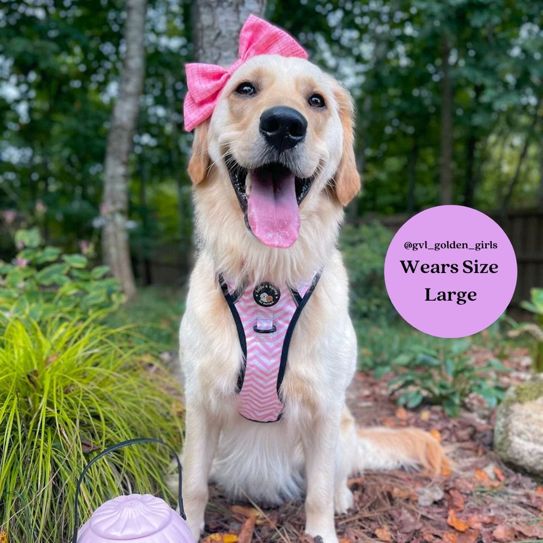 Zig Zag Wag Pastel Pink - Adventure No Pull Harness