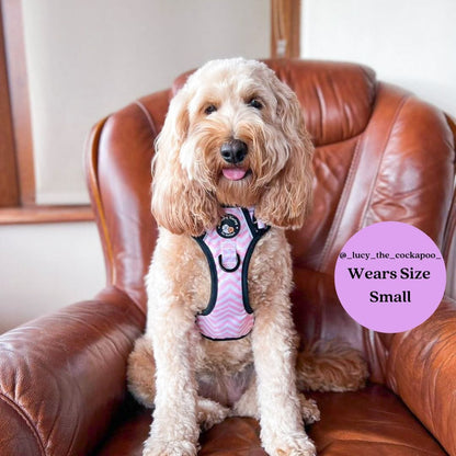 Zig Zag Wag Pastel Pink - Adventure No Pull Harness