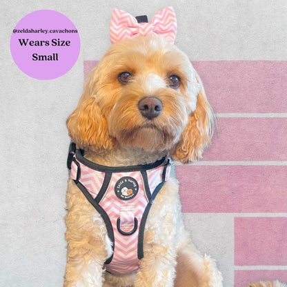 Zig Zag Wag Pastel Pink - Adventure No Pull Harness