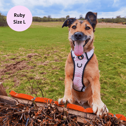 Zig Zag Wag Pastel Pink - Adventure No Pull Harness