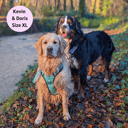 Zig Zag Wag Pastel Purple - Adventure No Pull Harness