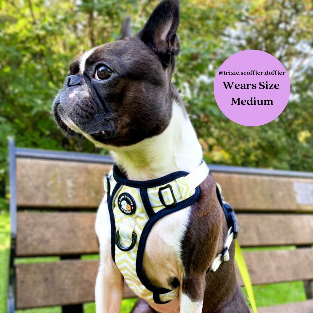 Zig Zag Wag Pastel Yellow - Adventure No Pull Harness