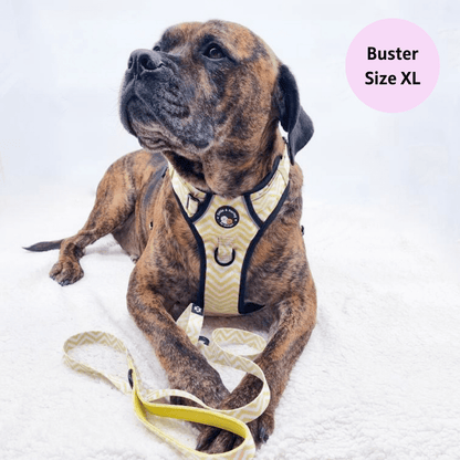 Zig Zag Wag Pastel Yellow - Adventure No Pull Harness