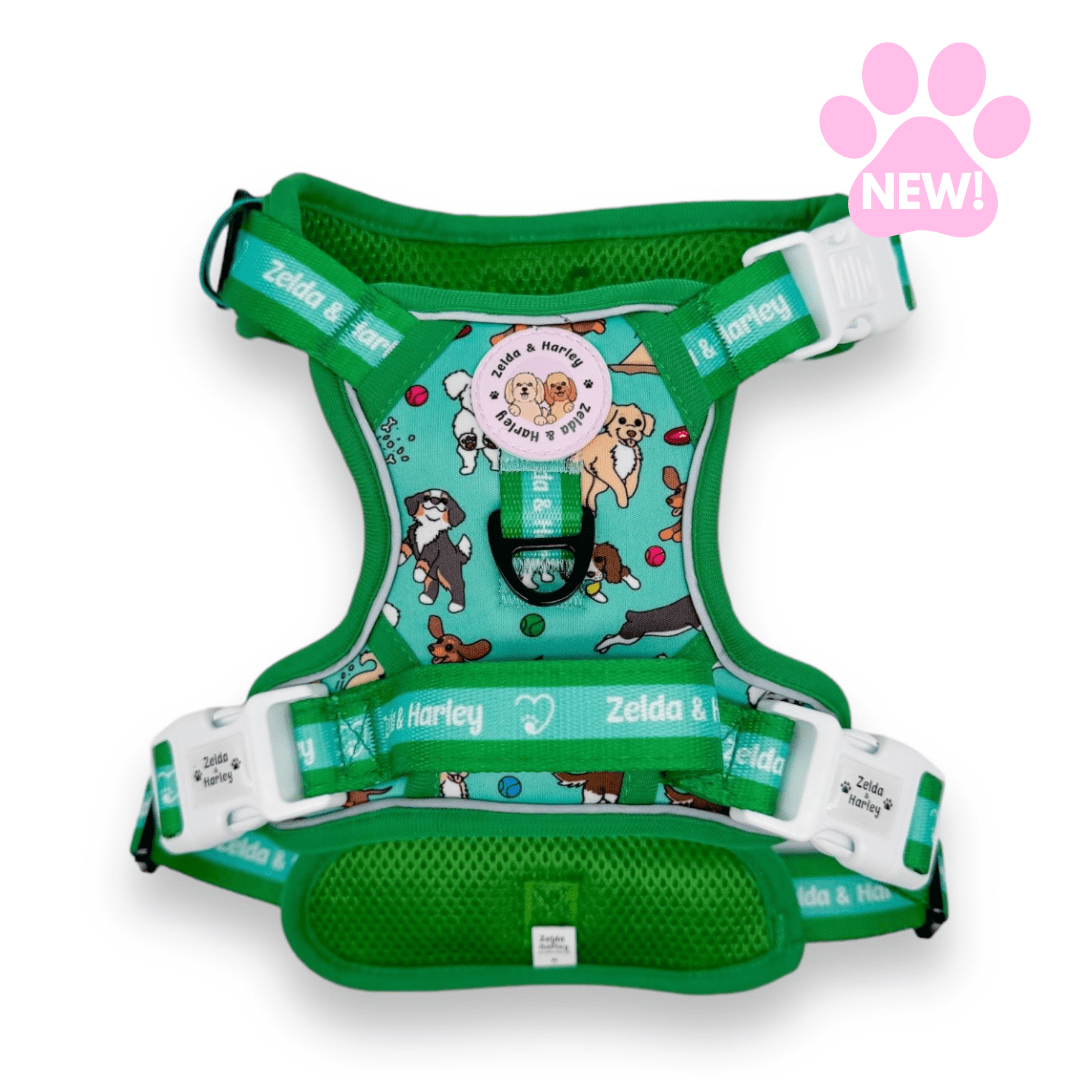 Zoomies 2.0 - Adventure No Pull Harness