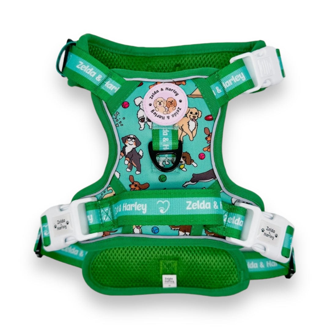 Zoomies 2.0 - Adventure No Pull Harness