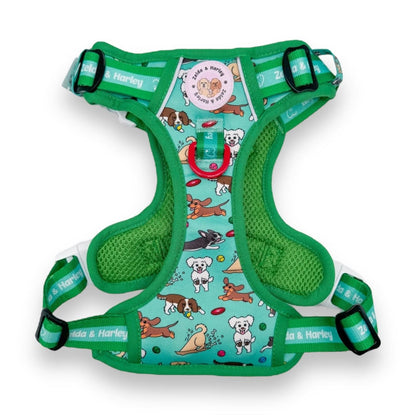 Zoomies 2.0 - Adventure No Pull Harness