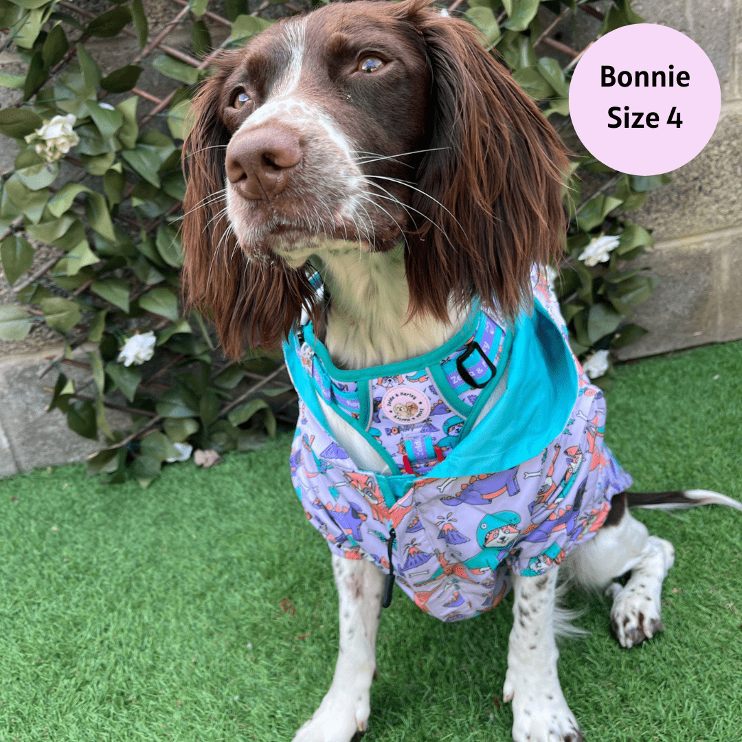 Doggosaurus Rex Reversible Dog Raincoat