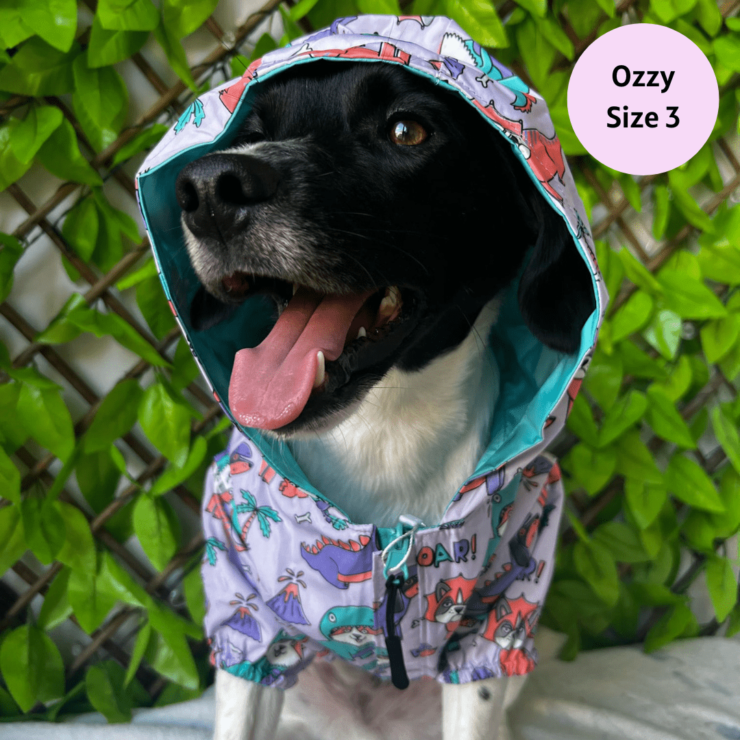 Doggosaurus Rex Reversible Dog Raincoat